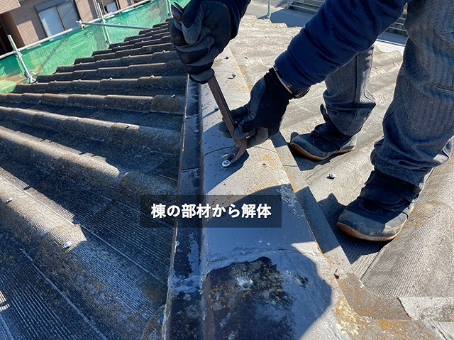 ニューウェーブの隅棟