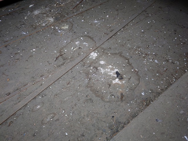 天井裏に残る雨漏りの痕