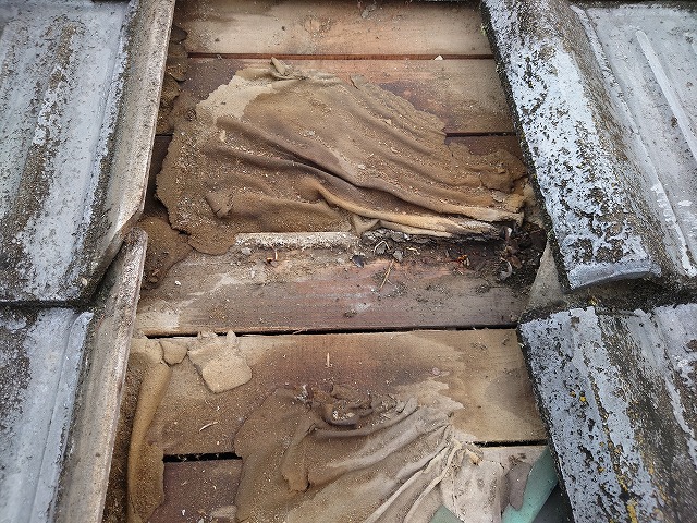 経年劣化で傷んだ防水紙と雨漏りで濡れた野地板