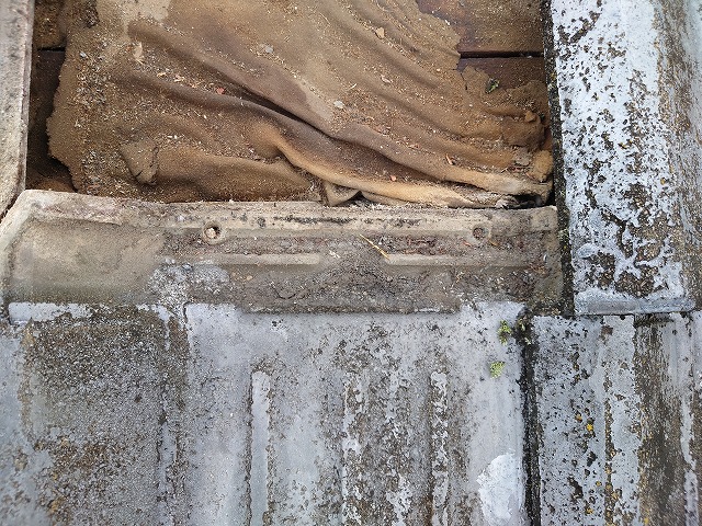 瓦の重なりに溜まったホコリやゴミ