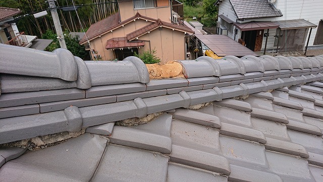 隅棟の雨漏り調査