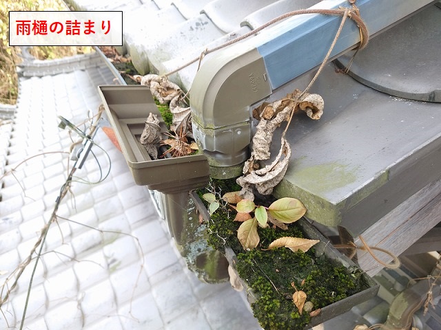 新居浜市　店舗の雨樋の詰まり