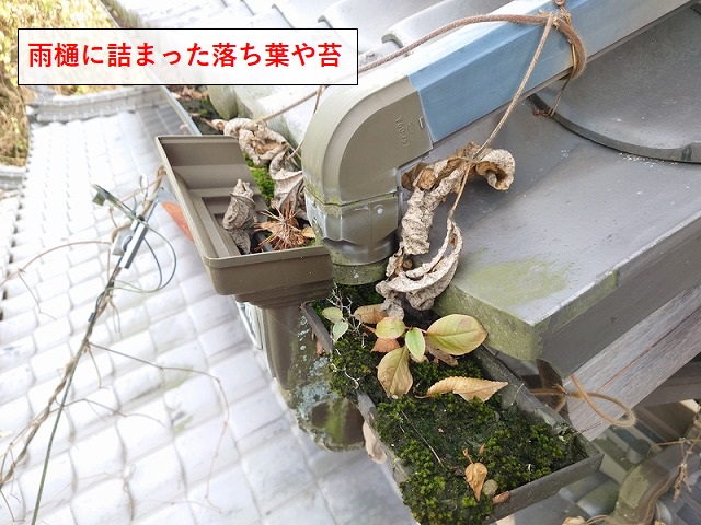 苔が生えた雨樋