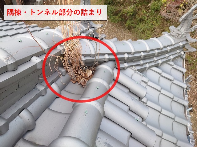 新居浜市　貸店舗の隅棟トンネルの詰まり