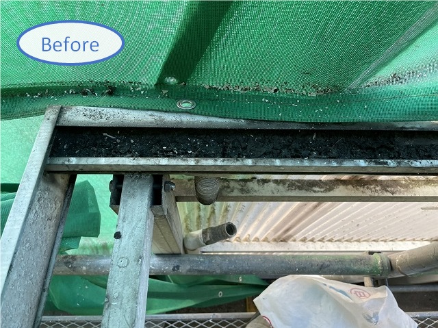 掃除前のテラス屋根雨樋