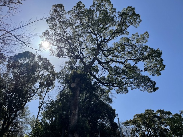 東温市K様邸の近くのお宮
