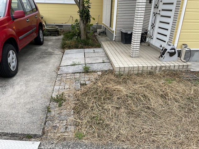 雑草が伸びた玄関回り