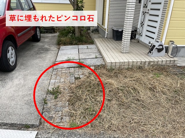 草に埋もれたピンコロ石