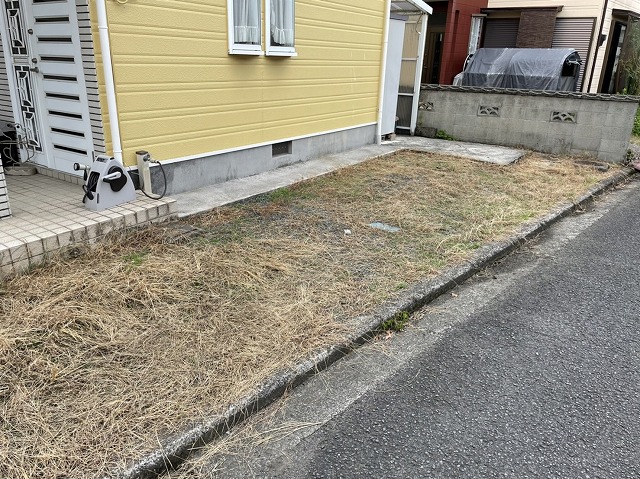 道路沿いの草が生えた庭
