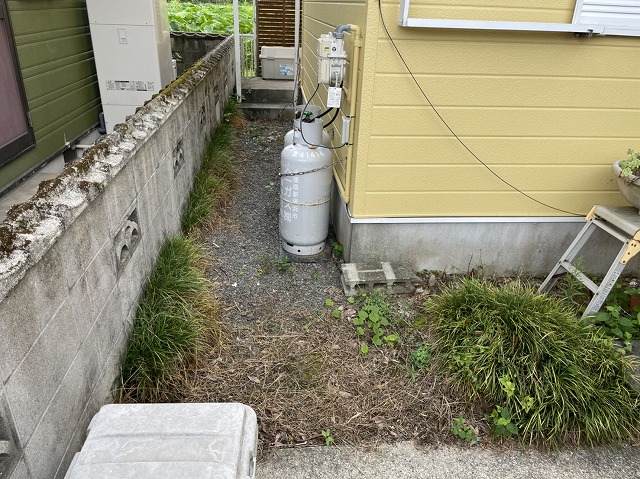 草が生い茂る南側の通路