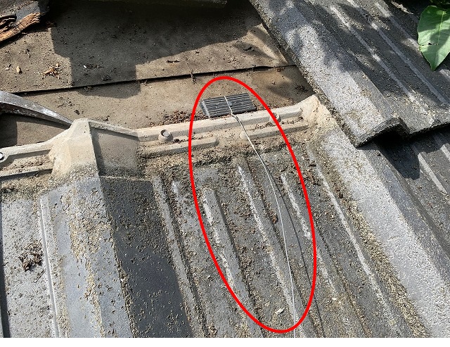 ステンレス線を野地板に打ち付ける