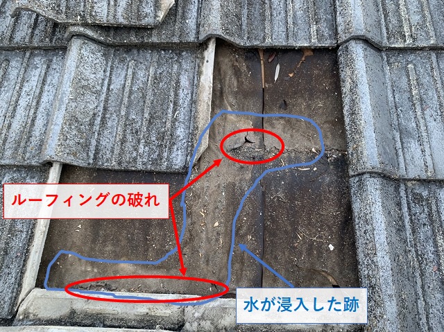 セメント瓦屋根の雨漏りの証拠