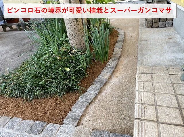 植栽とスーパーガンコマサ