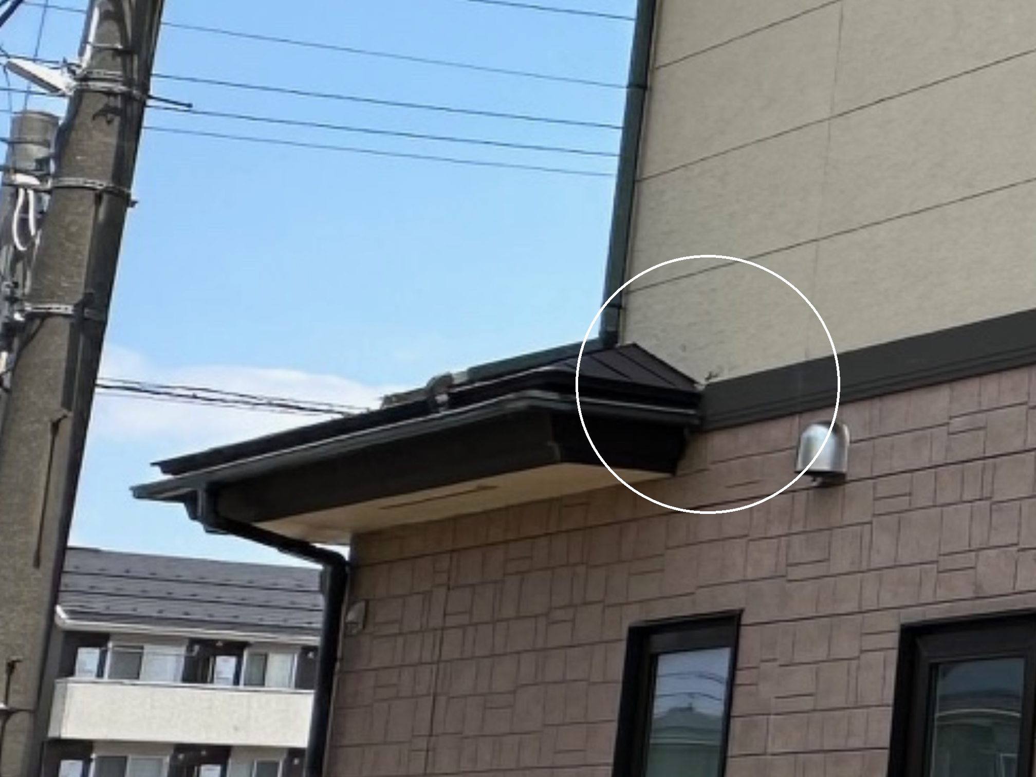 外壁の塗膜の剥がれ