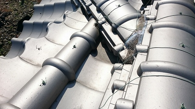 隅棟のトンネル清掃完了後