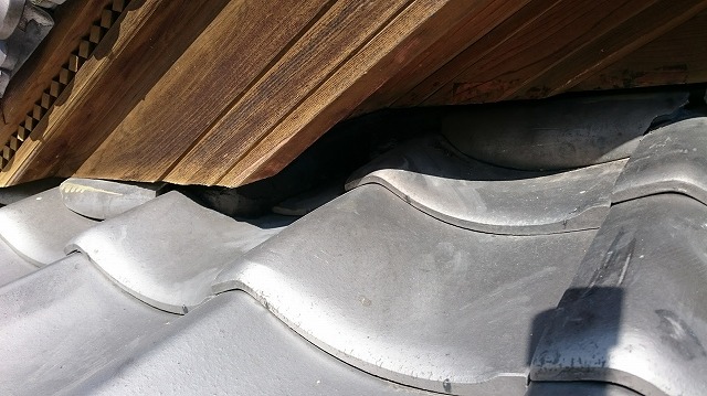 イタチの入り口完工後