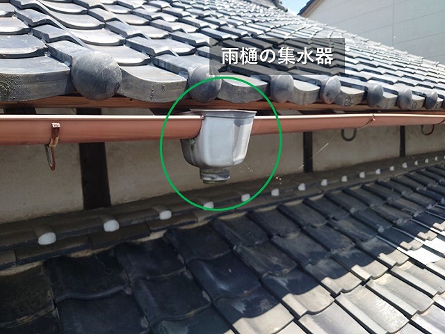 雨樋の集水器