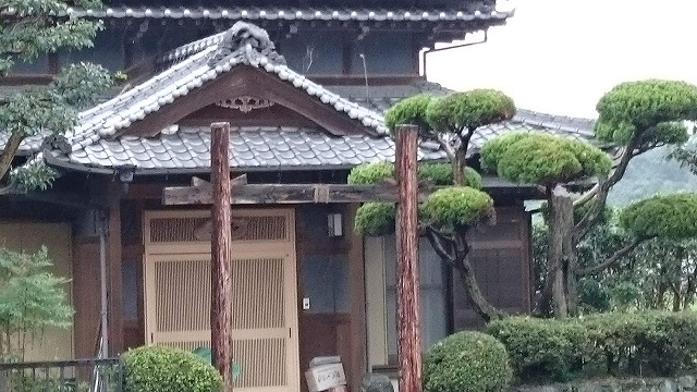 イタチが登ったと思われる木