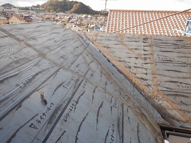 カラーベスト撤去後