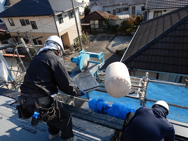 ルーガをカットする様子