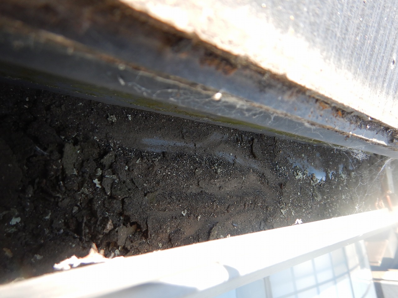 清掃前の樋の状態