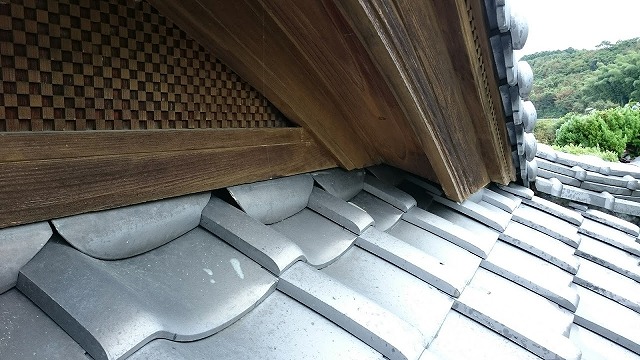 イタチが入ったところの反対側