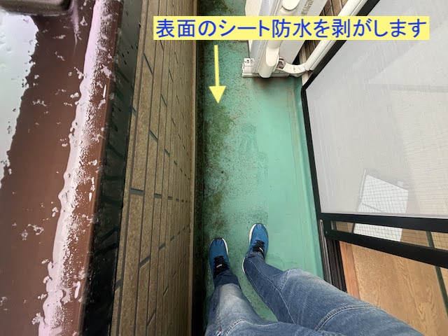 剥がす前のベランダシート防水