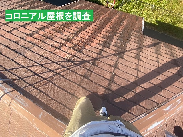 調査対象のコロニアル屋根を棟から見下ろす