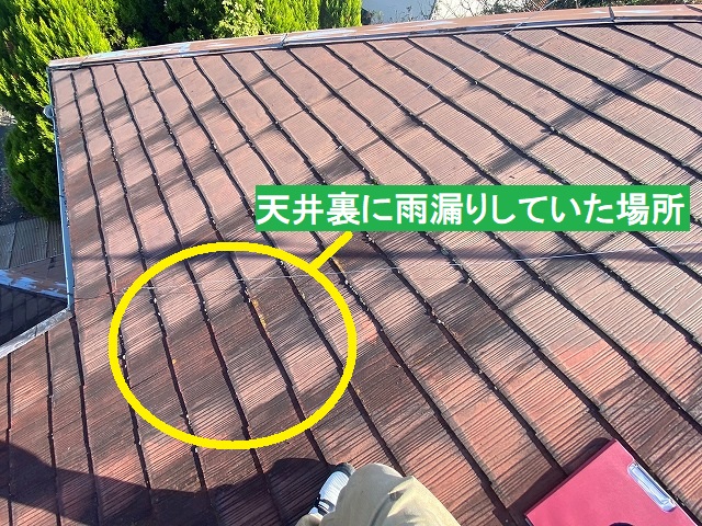 天井裏の野地板が濡れていた場所