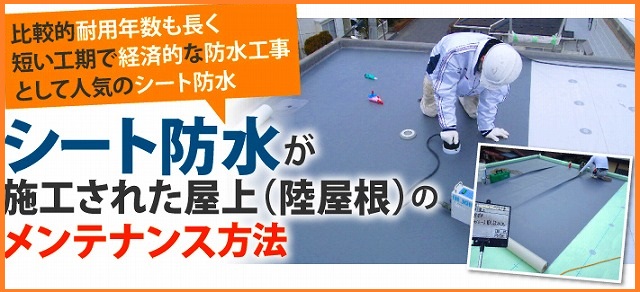 シート防水のメンテナンス方法