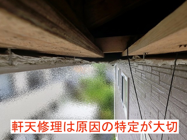 軒天修理は破損した原因の特定が大切