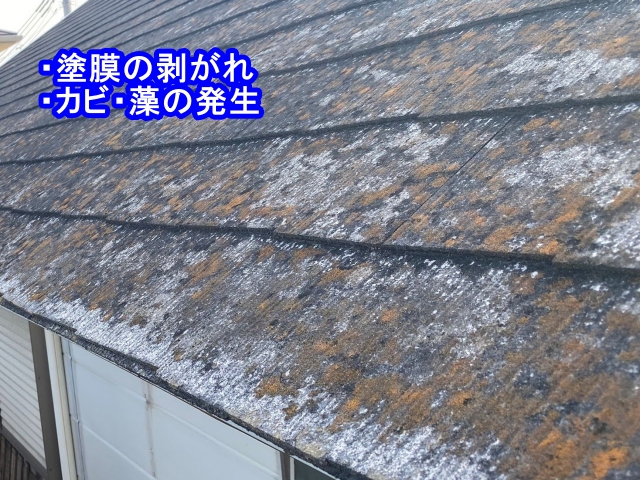 塗膜が剥がれ、カビや藻が発生している化粧スレート