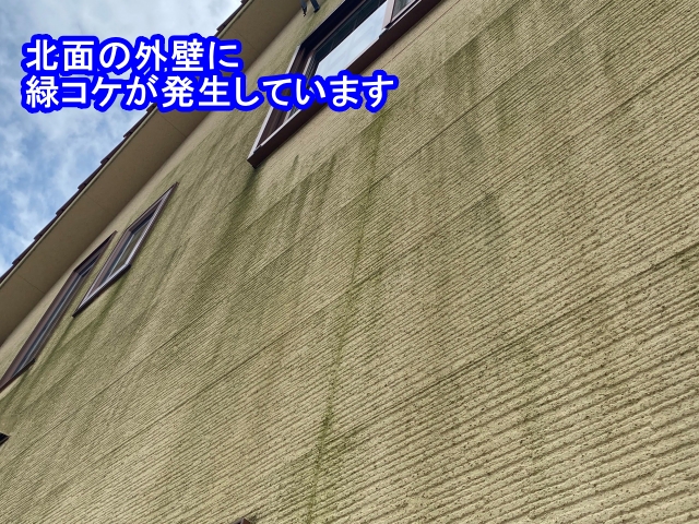北面の外壁には緑ゴケが発生