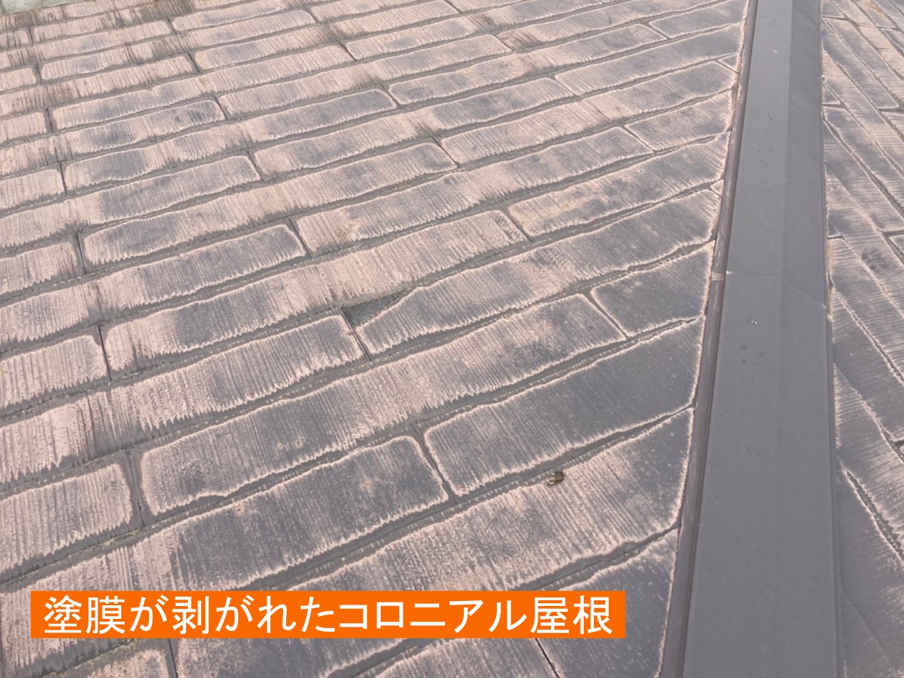 4.塗膜がなくなり、屋根はザスザスしている