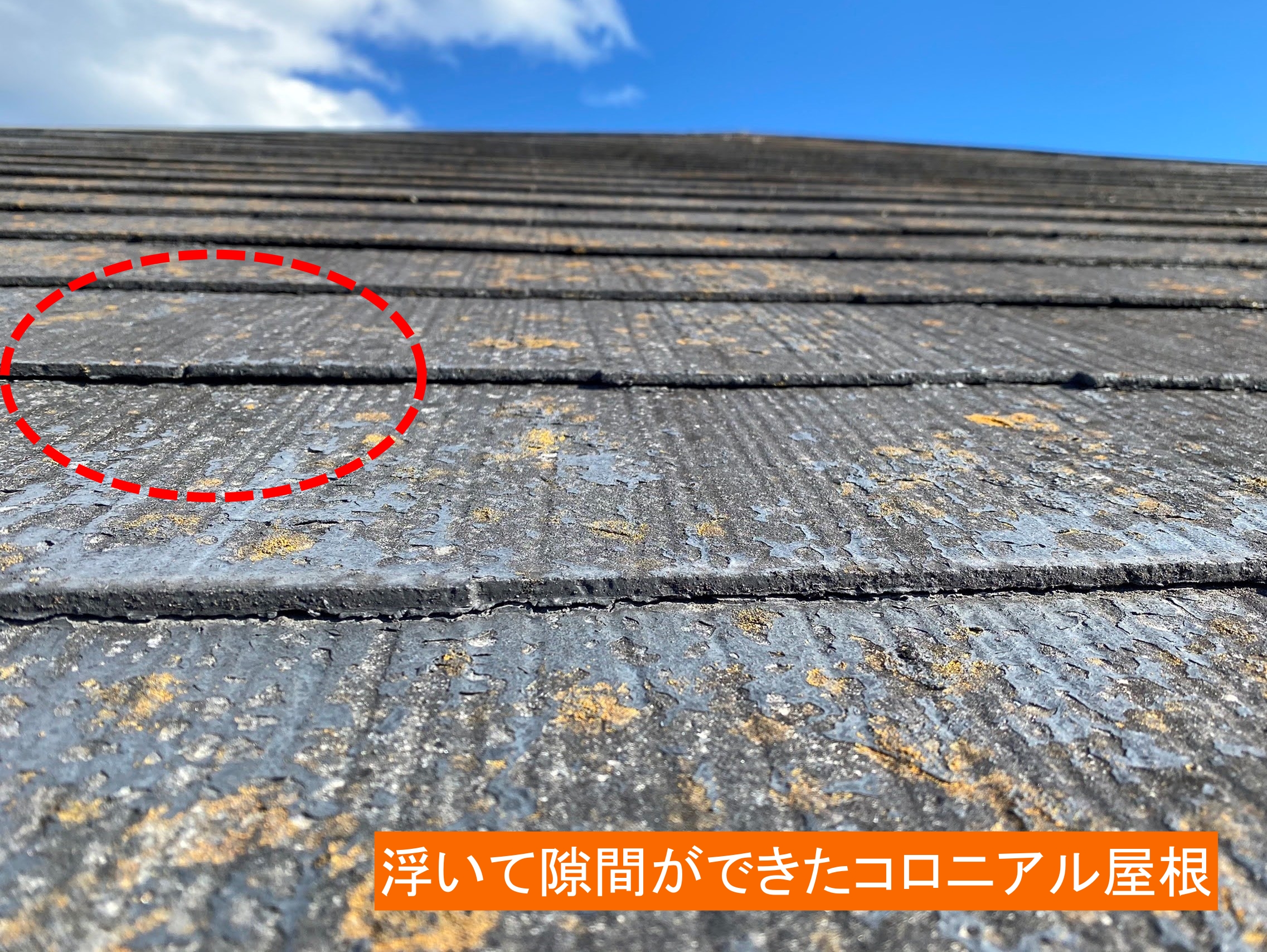 屋根に上りコロニアルの浮きを確認