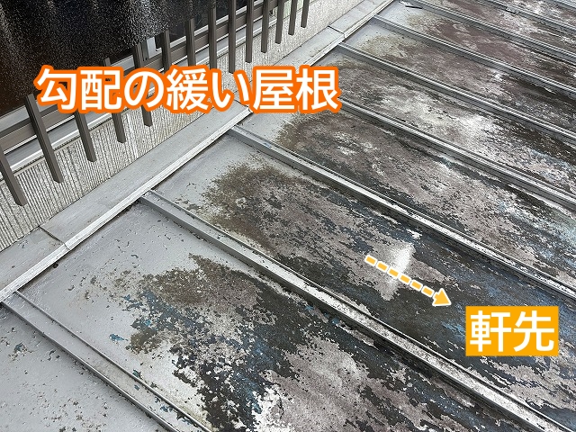 水捌けがよくない勾配の緩い屋根