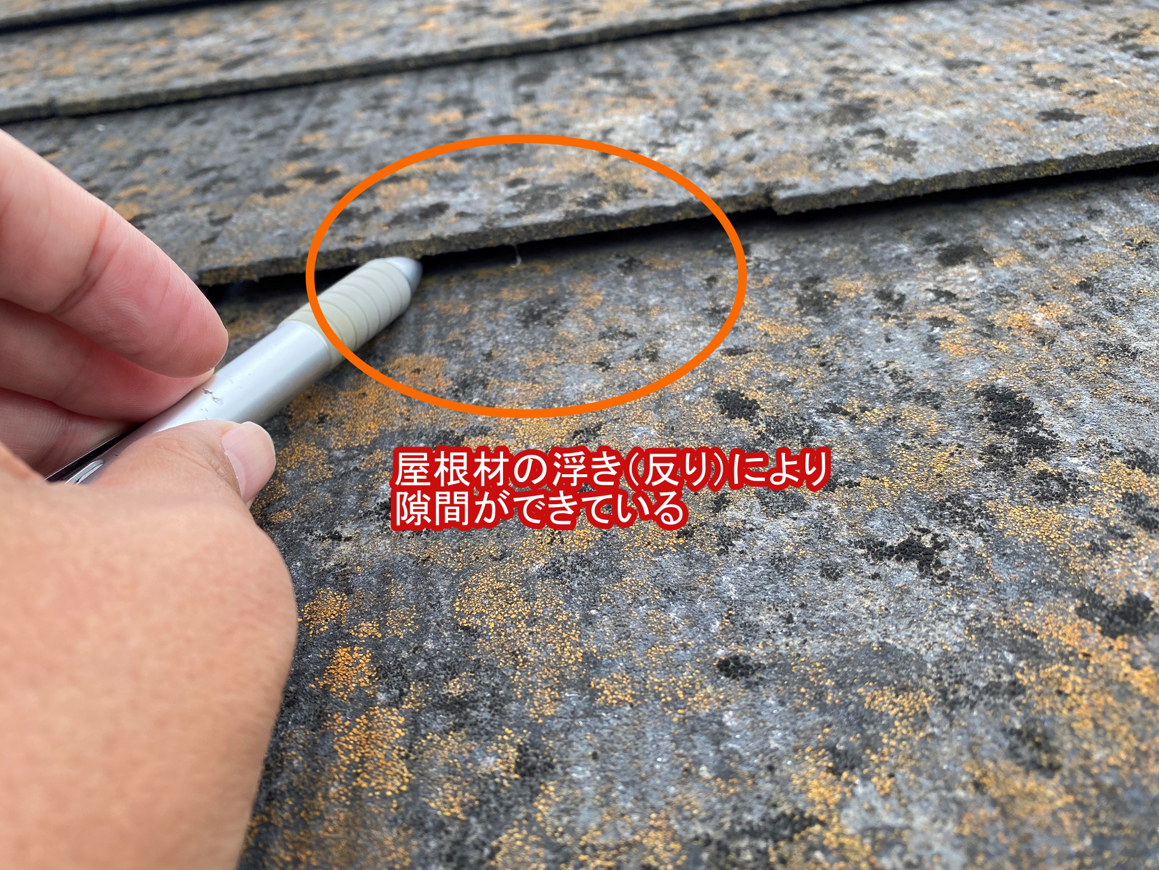 屋根材の反り（浮き）により隙間ができている