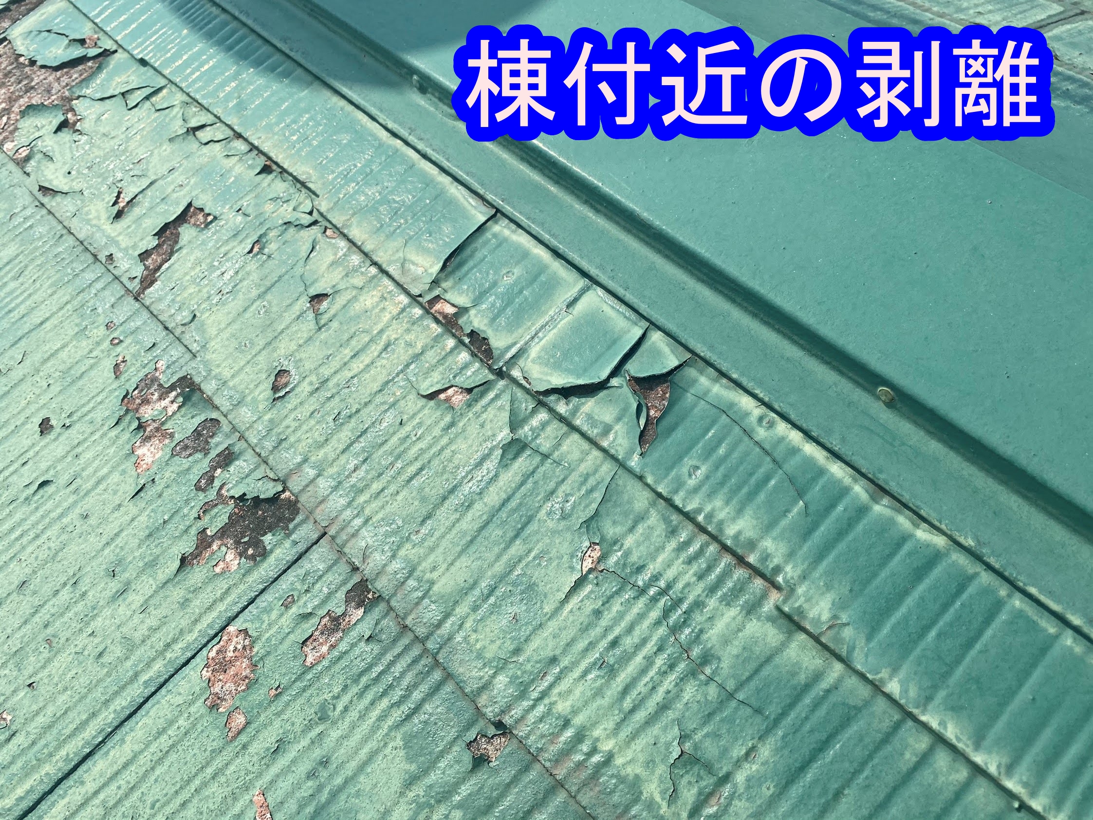 棟付近の塗膜剥離が激しいコロニアル屋根