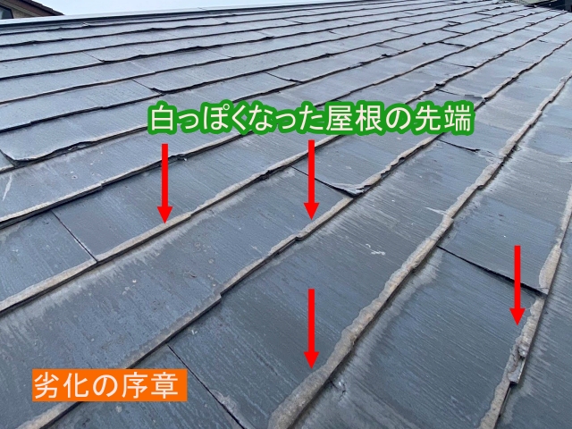 先端が白くなるのはパミール屋根材の初期症状