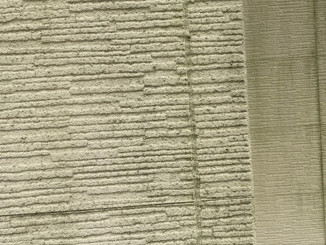 ザラ付きのある吹付された外壁