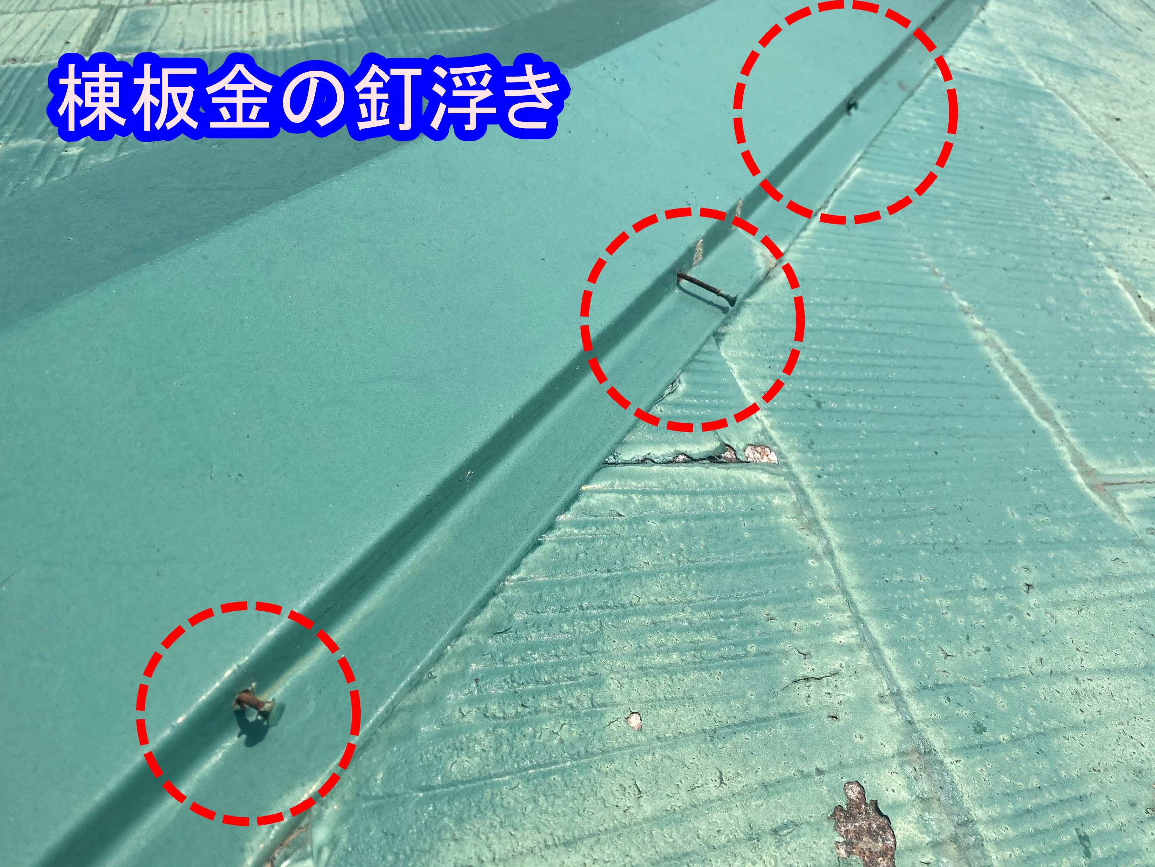 棟板金の釘浮きも方々にある