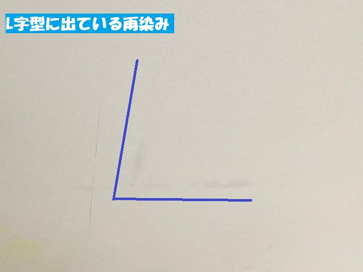 L字型に出ている雨染み