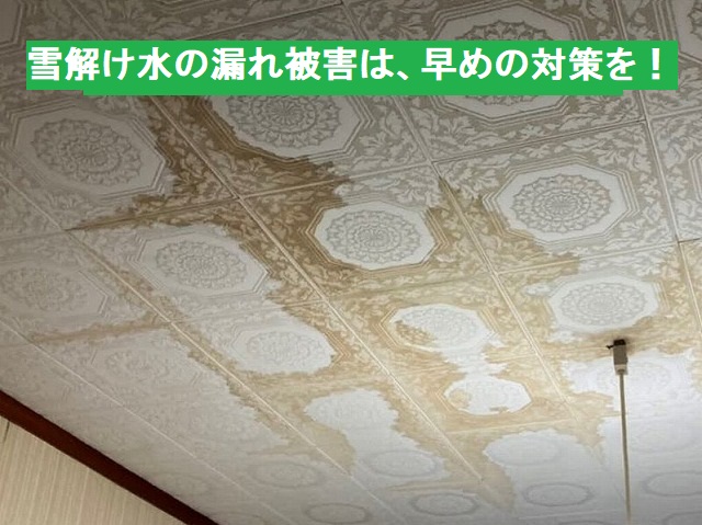 雪解け水による漏水で出来た天井の染み