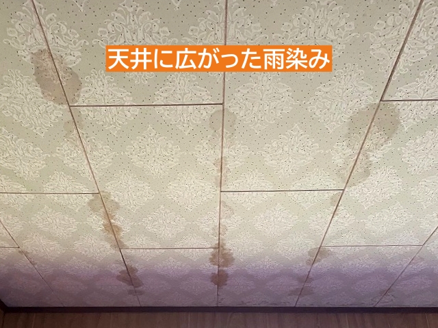 常陸太田市天井に広がった雨染み