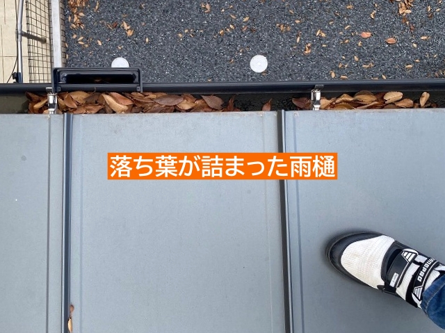 ひたちなか市の落ち葉が詰まった雨樋