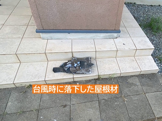 台風時に屋根から落下したパミール
