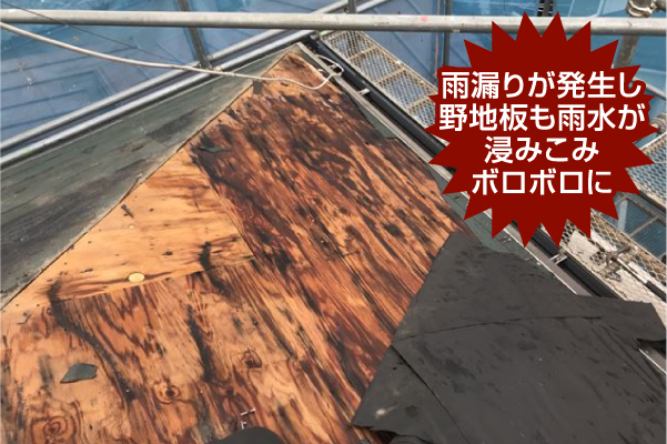 野地板の腐食