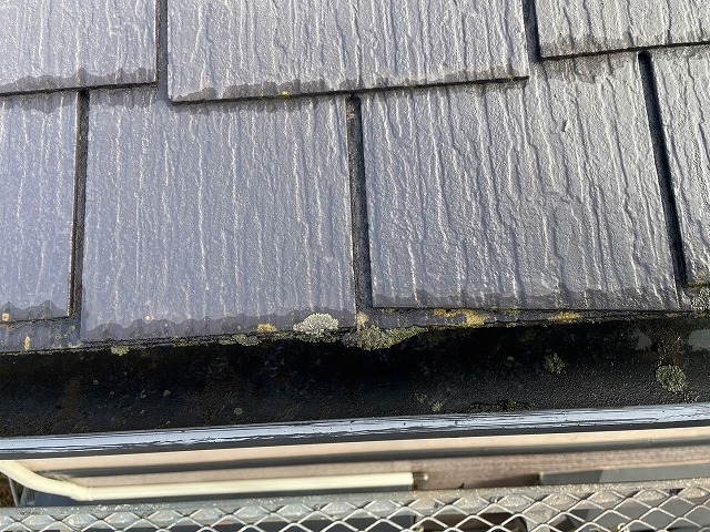 凹凸や破損した屋根には粘着式ルーフィングを使用