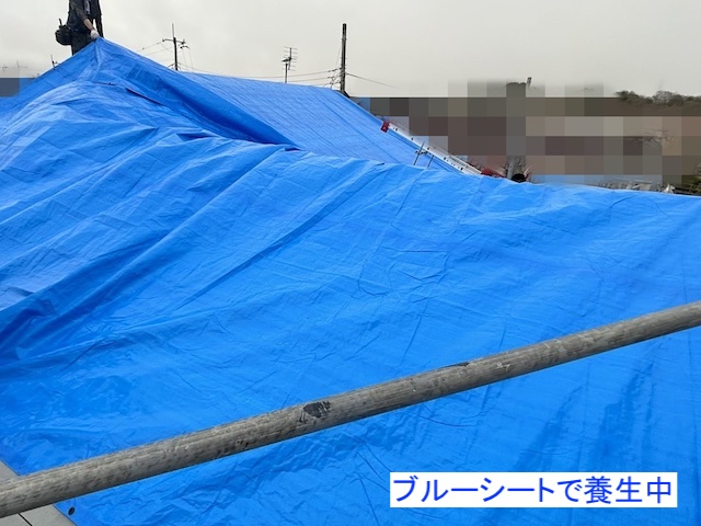 ブルーシートで屋根を養生して雨漏り対策