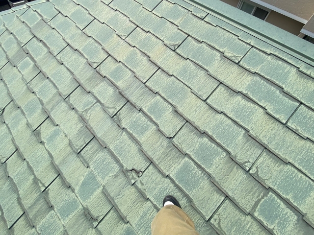 南側のコロニアルスレートの様子